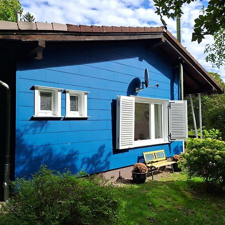 Platell Ferienhausverwaltung 圣安德里斯伯格 外观 照片